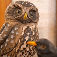 Wildlife Garden &ndash; Handgeschnitzte V&ouml;gel bei Berganza in Bamberg