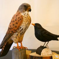 Wildlife Garden &ndash; Handgeschnitzte V&ouml;gel bei Berganza in Bamberg